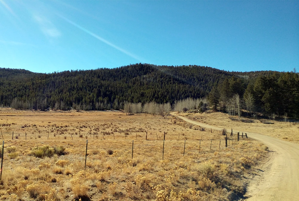 Scenic view of the Royal Gorge Region in Colorado with a dirt road winding through golden grassland, rustic fence line, and pine-covered hills under a clear blue sky
