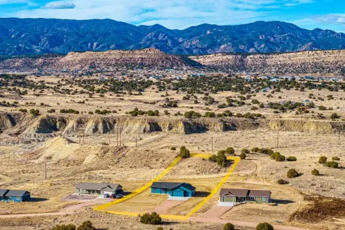 Overview Neighborhood